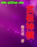武極神橫